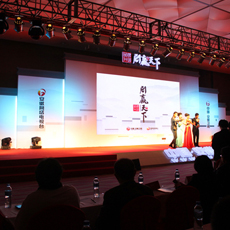 �����l(w��i)ҕ2010�V����ӆ��(hu��)